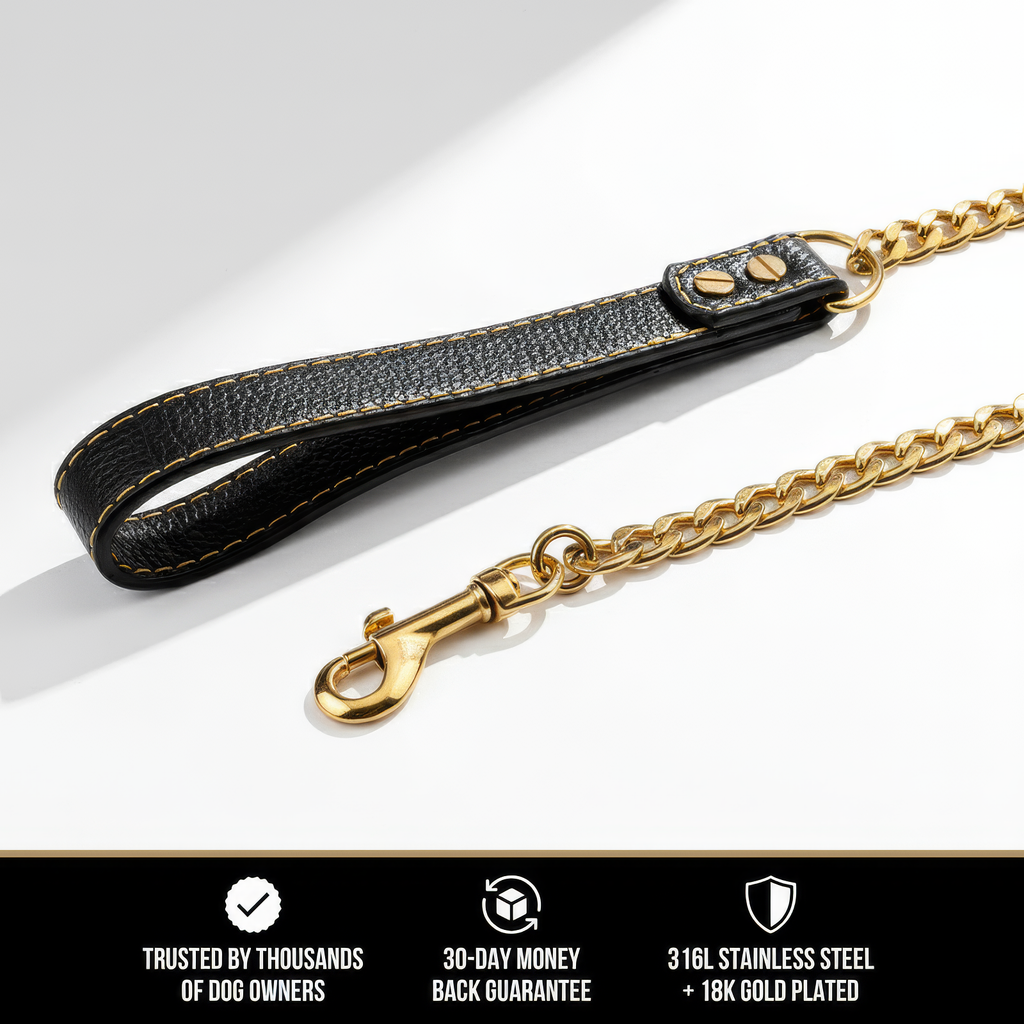 The Cuban Leash | 10MM