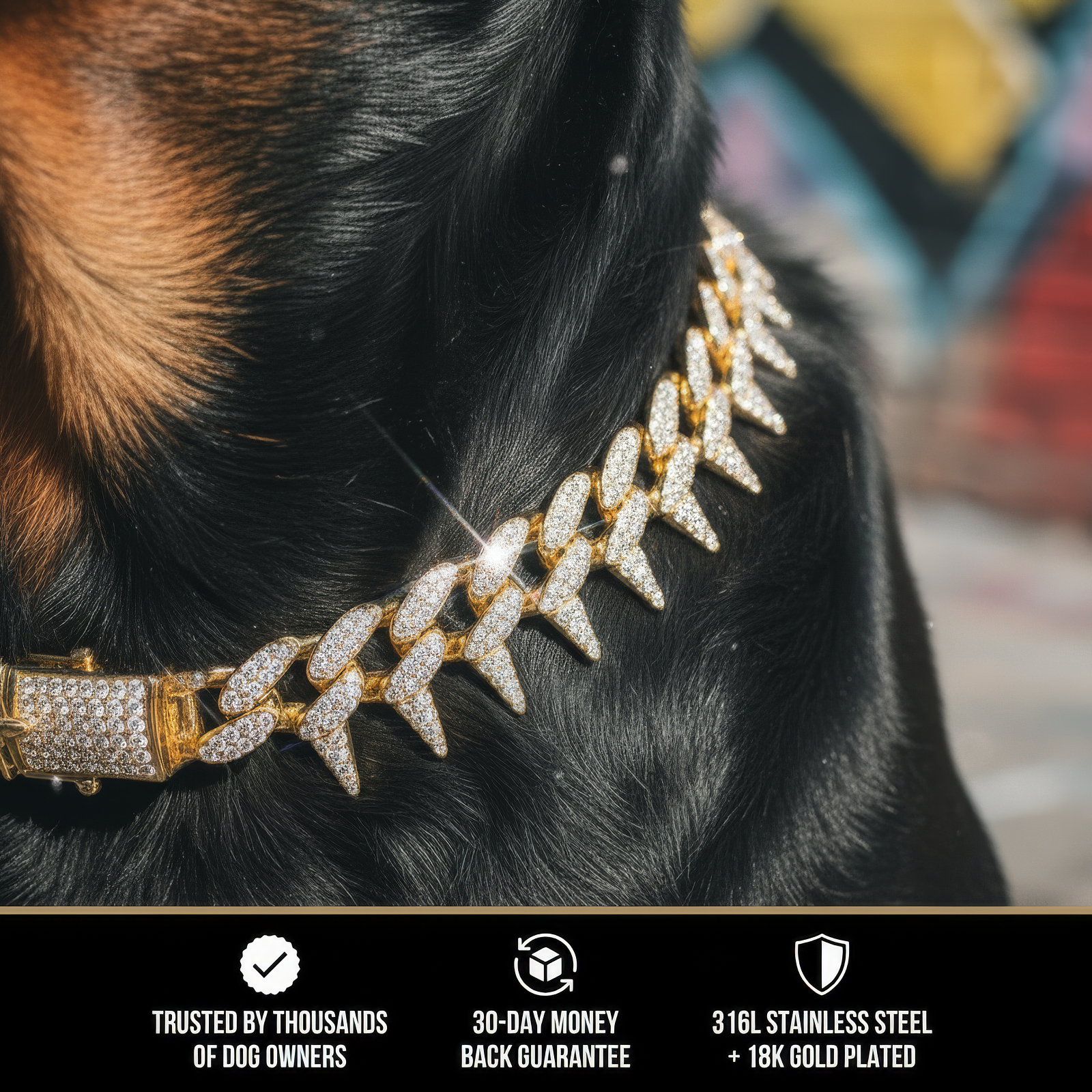 The Spiked Collar | 20MM