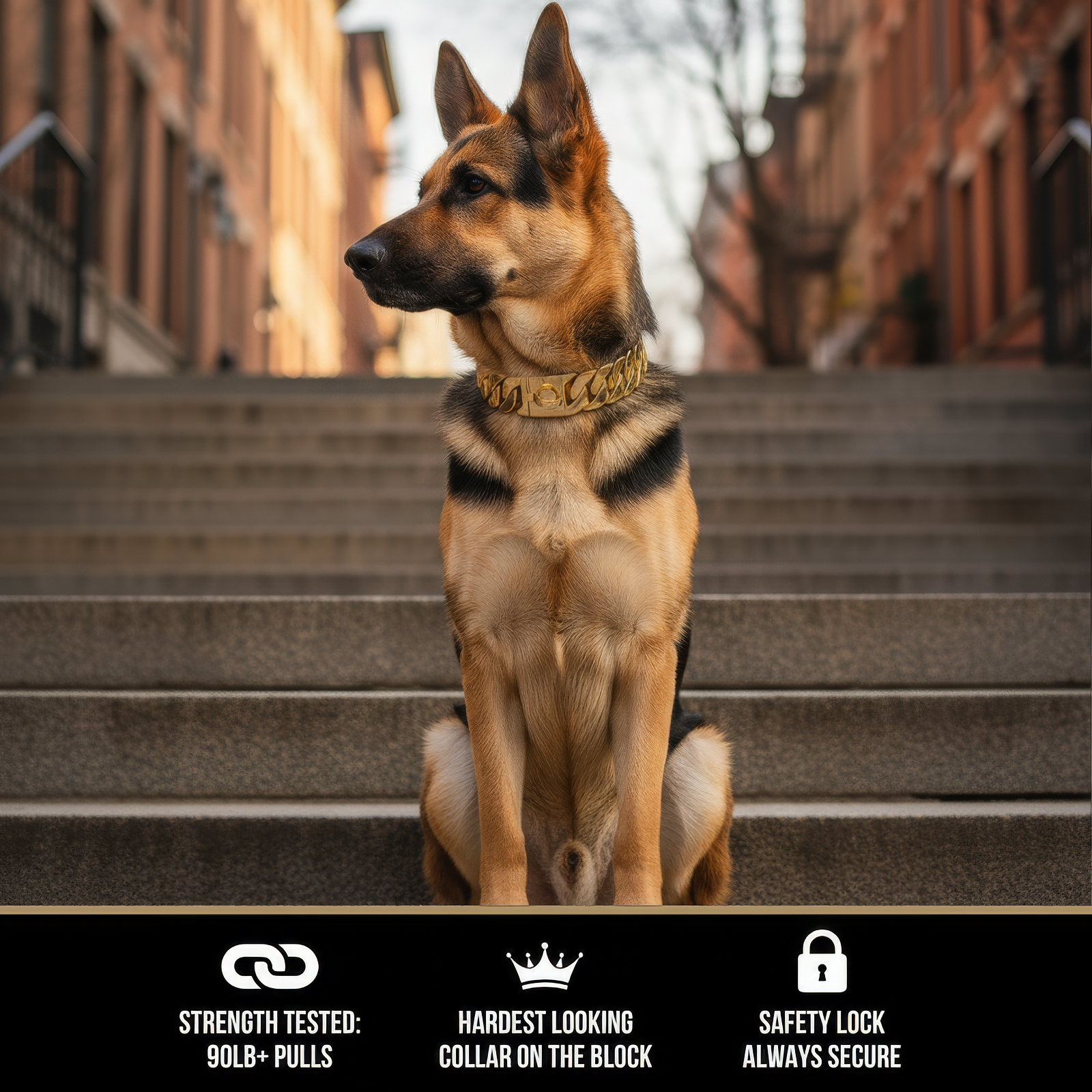 The Cuban Collar | 20MM