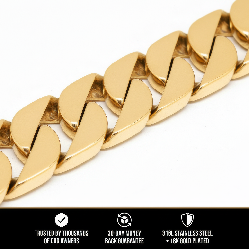 The Cuban Collar | 20MM