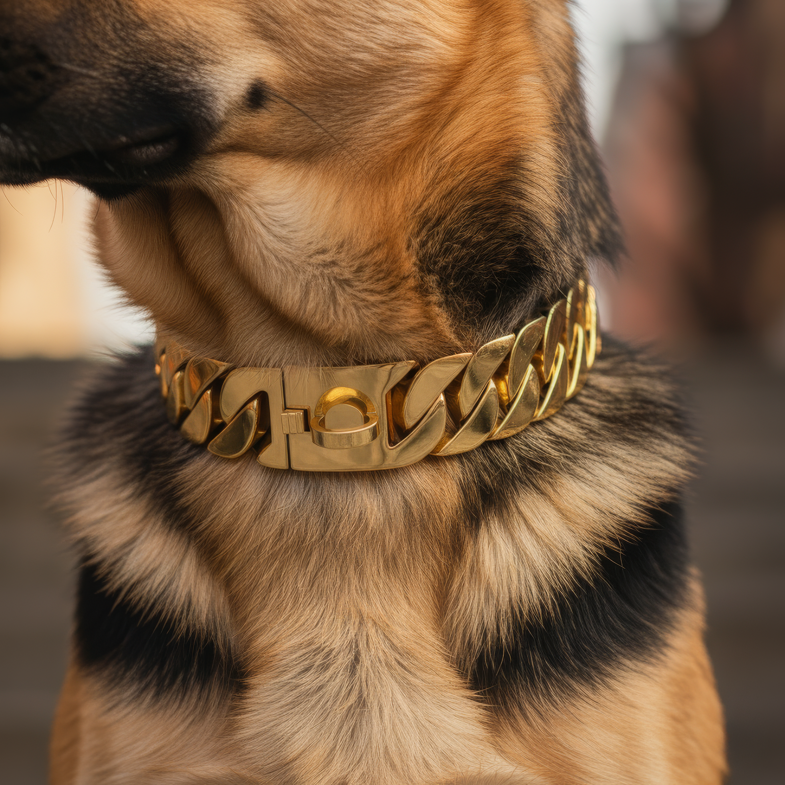 The Cuban Collar | 20MM
