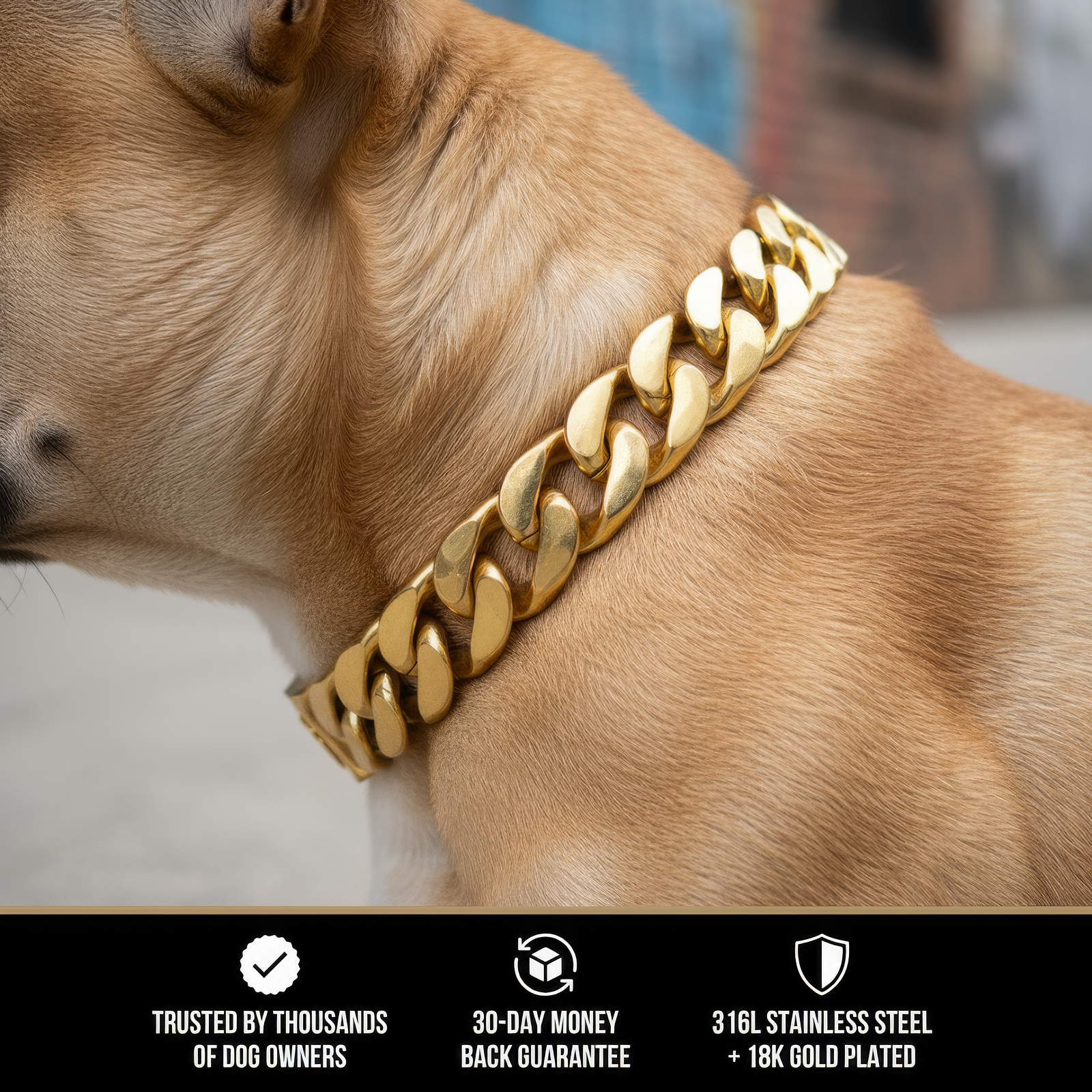 The Cuban Collar | 10MM